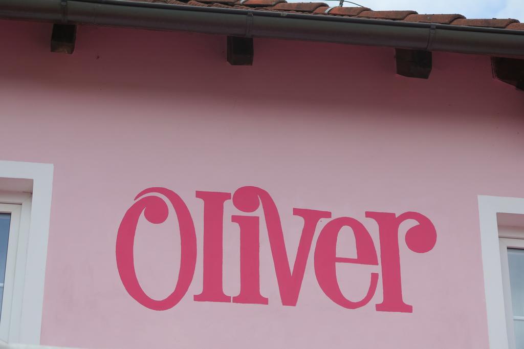 Penzion Oliver ฮอร์นี ปลานา ภายนอก รูปภาพ